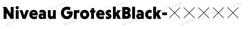 Niveau GroteskBlack字体转换